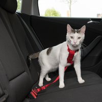 Trixie Auto-Geschirr für Katzen - Brustumfang 31 - 48 cm von TRIXIE