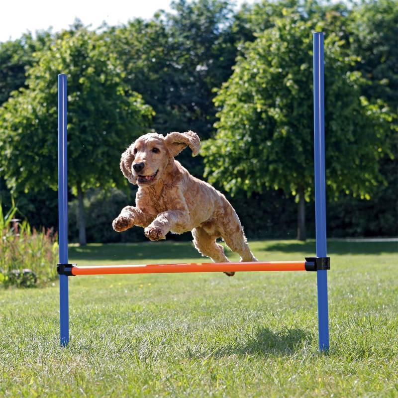 Trixie Dog Activity Agility Hürde von TRIXIE