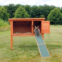 Trixie Holzrampe für Kleintierstall 50cm Trixie Holzrampe für Kleintierstall 50cm von TRIXIE