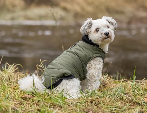 Trixie hundemantel arlay dunkelgrün von TRIXIE