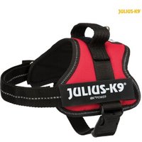 Trixie Julius-K9® Powergeschirr® Baby 1–Mini rot S von TRIXIE