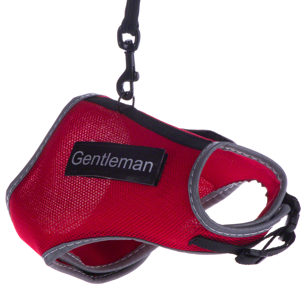 Trixie Katzengeschirr XCat mit Sticker und Leine - rot Trixie Katzengeschirr XCat mit Sticker und Leine - rot von TRIXIE