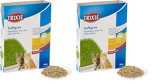 Trixie Katzengras Schale, ideal für Kätzchen, ca. 100 g/Schale (Packung mit 2) von TRIXIE