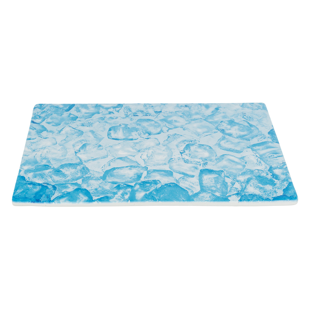 Trixie Kühlplatte für Kleintiere - L 35 x B 25 x H 0,8 cm Trixie Kühlplatte für Kleintiere - L 35 x B 25 x H 0,8 cm von TRIXIE