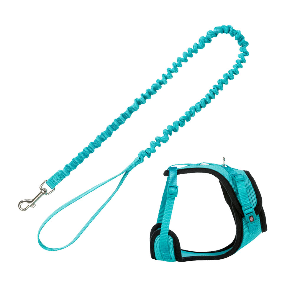 Trixie Mesh Y-Geschirr mit elastischer Leine - türkis Trixie Mesh Y-Geschirr mit elastischer Leine - türkis von TRIXIE