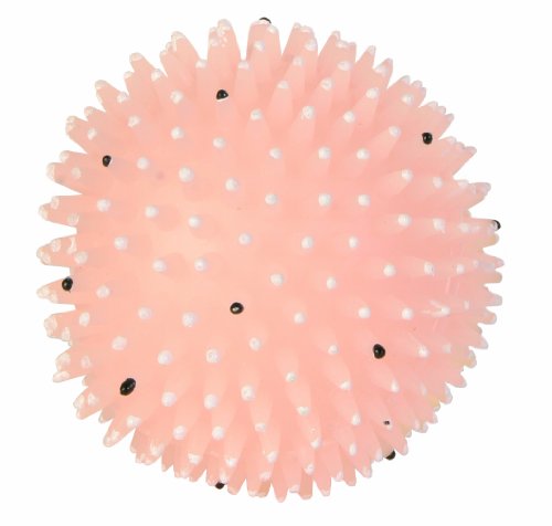 Trixie Noppenball, 10 cm Durchmesser, 3 Stück von TRIXIE