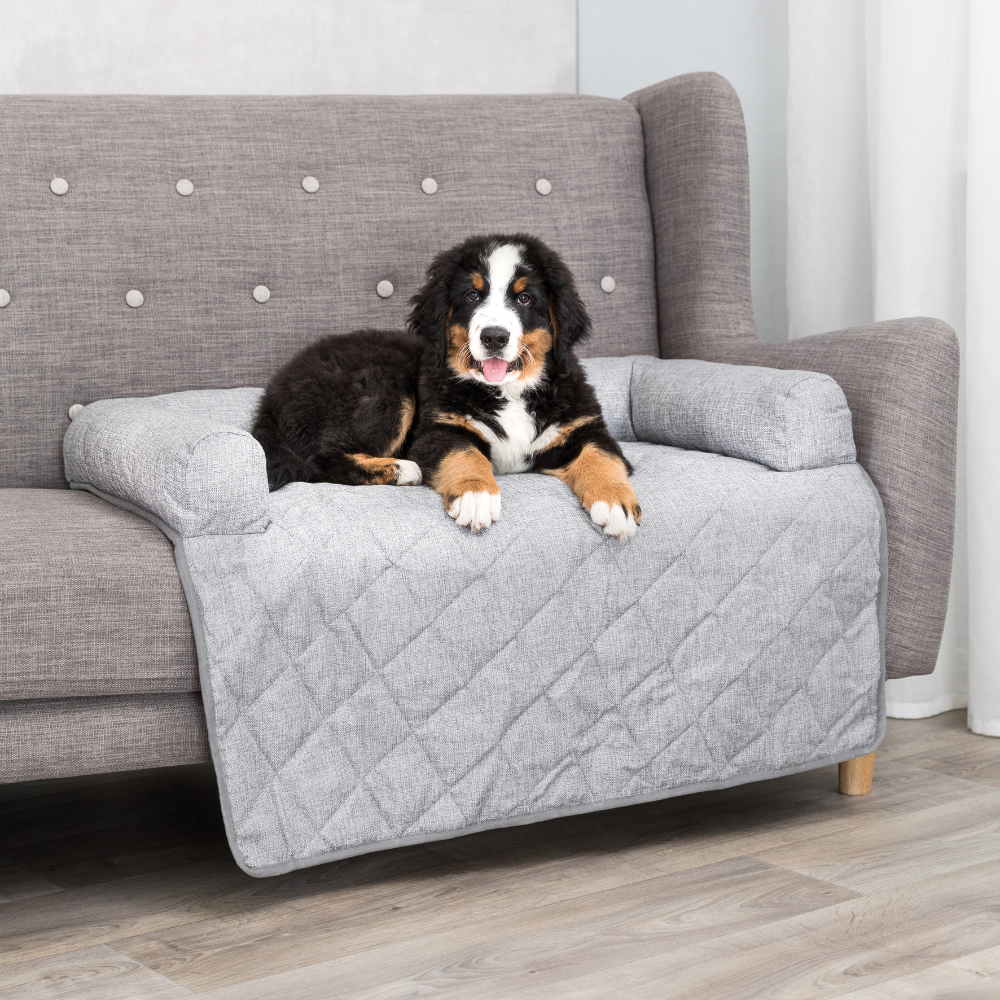 Trixie Polster-Schondecke Nero - L 90 x B 70 x H 14 cm Trixie Polster-Schondecke Nero - L 90 x B 70 x H 14 cm von TRIXIE