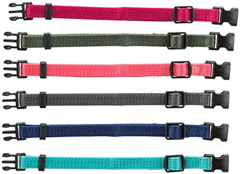 TRIXIE Junior Welpenhalsband Größe S–M: Halsumfang 17–25 cm/10 mm in fuchsia, grafit, indigo - kleines Hundehalsband für kleine bis mittelgroße Hunde, 6er Set zur Gewöhnung, 15552 von TRIXIE