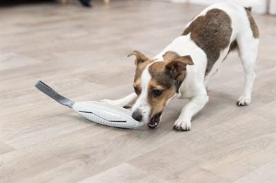 Trixie Snack-Sticks an einem Gurt, versch. 20 cm / 31 cm von TRIXIE