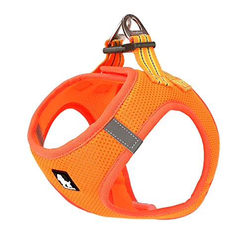 Truelove True Love Hundegeschirr, weiches Air-Mesh, verstellbar, reflektierend, für kleine und mittelgroße Rassen, Größe XS, Orange von Truelove