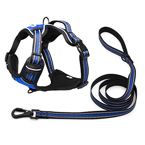 Trukspet NoPull Hundegeschirr mit 1.5 m starker Hundeleine-Set, verstellbare Weste, reflektierender Frontclip, strapazierfähig, mit einfachem Griff für große, 2 Stück, L-Royal BlueHarness + Leash von TRUKSPET