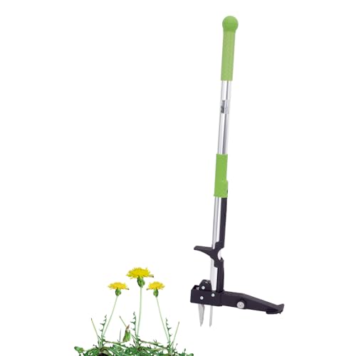 TRUTZHOLM Unkrautstecher Jäter Unkrautentferner 100 cm Länge, inkl. 4 Edelstahl Krallen Gartenhelfer | umweltschonende Methode von TRUTZHOLM