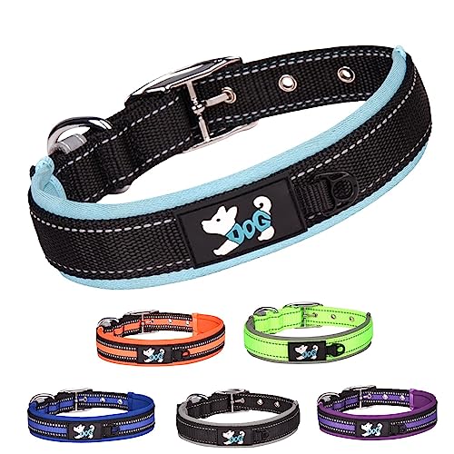 TSKDKIT Hundehalsband Verstellbare, Super Weiches Neopren Gepostertes Hundehalsband, Reflektierend Hunde Halsband Atmungsaktives Wetterfest für das Training, für alle Hunderassen(Hellblau,S) von TSKDKIT