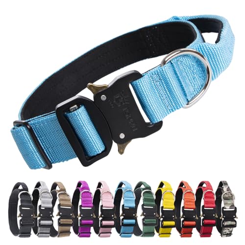 TSPRO Premium Hundehalsband mit Griff Dickes Verstellbares Hundehalsband Schwere Ausführung Schnellverschluss Metallschnalle Hundehalsband für Kleine, Mittelgroße bis Extra Große Hunde (Blau -M) von TSPRO