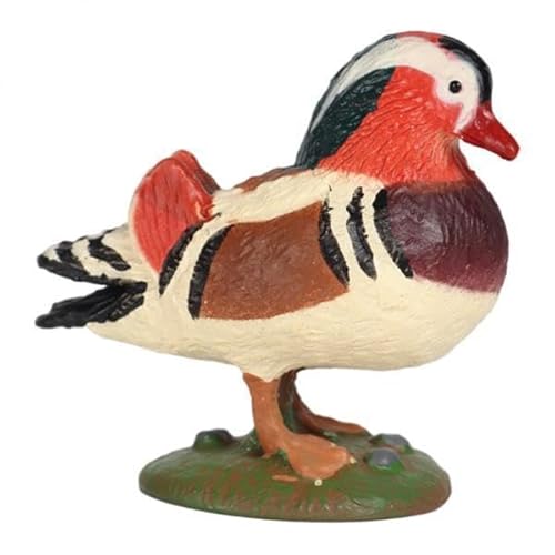 TTETTZ 2X Mandarin Ente Figurine Wissenschaft Figuren Kognitiven für Szene Dekoration von TTETTZ