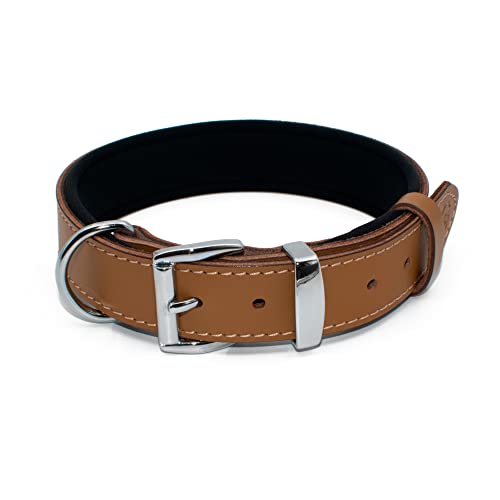 TUBERK Hundehalsband aus pflanzlich gegerbtem Leder für große Hunde, strapazierfähiges und luxuriöses Design, Größe S: 3 cm breit für Halsumfang von 41,9 cm - 49,5 cm, Braun-Braun von TUBERK