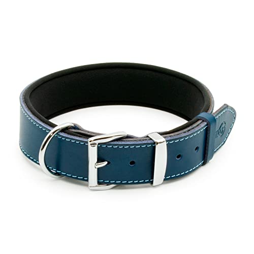 TUBERK Hundehalsband aus pflanzlich gegerbtem Leder für große Hunde, strapazierfähiges und luxuriöses Design (XL: 4,1 cm breit für 57,1 cm - 64,8 cm Halsumfang, Blau) von TUBERK