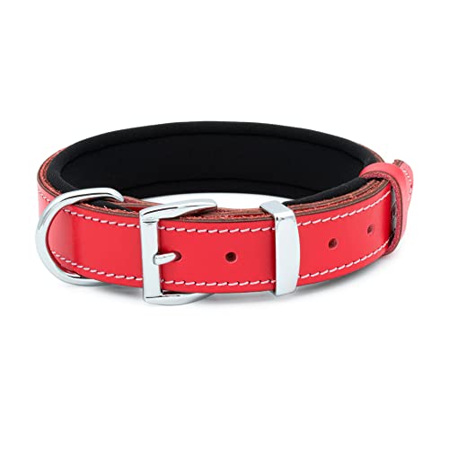 TUBERK Hundehalsband aus pflanzlich gegerbtem Leder für mittelgroße Hunde, Robustes und luxuriöses Design, Größe S (41,9 cm - 49,5 cm), Rot von TUBERK