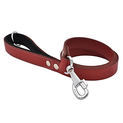 TUBERK Hundeleine aus Leder – robuste Hundeleine für mittlere und große Hunde – echtes pflanzlich gegerbtes Leder – weich gepolsterter Griff – (L - 1,2 m x 2,5 cm, rot) von TUBERK