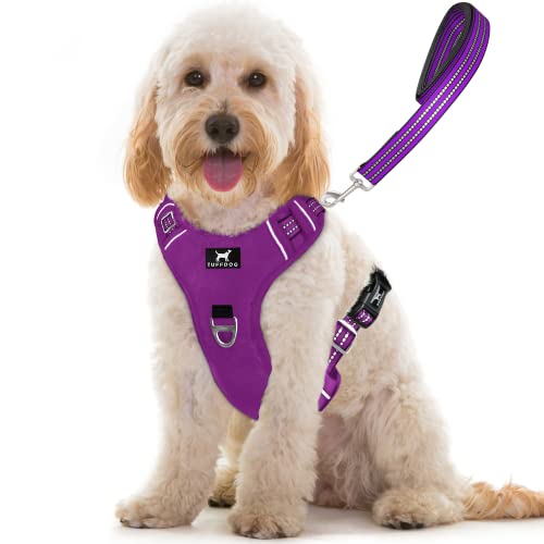 TUFFDOG Easy-Fit Hundegeschirr, Größe M – Schnellverschluss-Halsclip, Premium gepolstert, reflektierend, kein Ziehen Geschirr mit Kontrollgriff, verstellbare Step-In-Hundeweste plus kostenlose passende Leine (M, Vivid Violett) von TUFFDOG