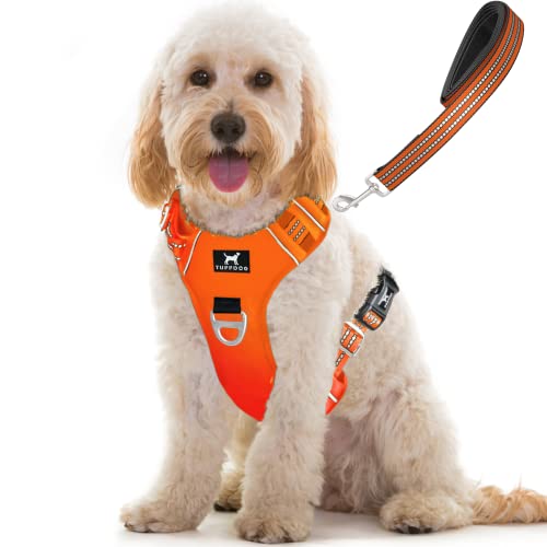 TUFFDOG Easy-Fit-Hundegeschirr – Schnellverschluss-Halsclip, gepolstert, reflektierend, kein Ziehen, verstellbare Step-In-Hundeweste plus passende Leine (Größe M, Blaze Orange) von TUFFDOG