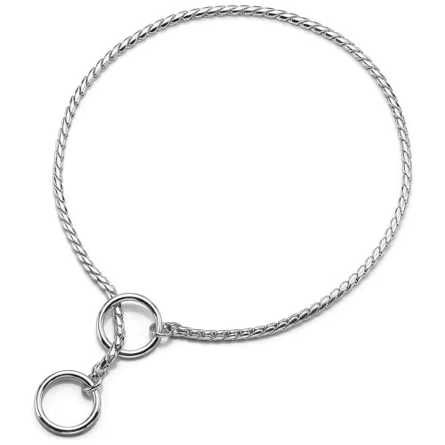 TUITA Hundehalsband mit Metallkette, Hundehalsband für Shows, feines Messingkettenhalsband, verstellbar für kleine, mittelgroße und große Hunde von TUITA