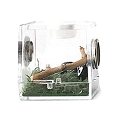 Futterbox, transparente Futterboxen, Futterbox, Kletter-Terrarium, durchsichtig, für Spinne, , Skorpion, Vogelspinnen, Geckos von TUJOBA