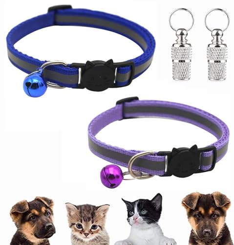 Katzenhalsband,Adressanhänger Hund Katzen,Halsband Verstellbar,Katzenhalsband Reflektierend,katzenhalsband mit Glöckchen und Sicherheitsverschluss,Haustier ID Tags (Blau, Violett) von TUKNN