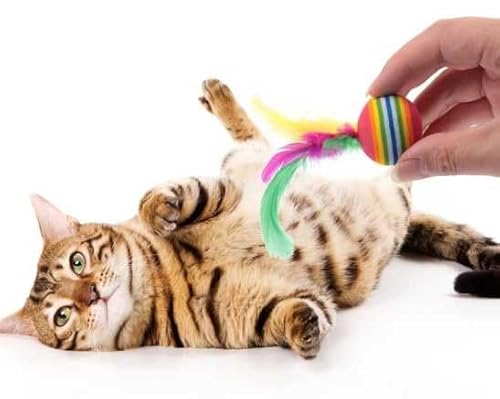 Katzenspielzeug, Bälle mit Feder, Regenbogen-Katzenbälle, Katzenspielzeug Bälle Weich, Rainbow Cat Toy Ball, Eva-Schaumstoff Katzen Bälle Interaktiv Petball, Perfekt für Katzen Jeden Alters, 6 Stück von TUKNN