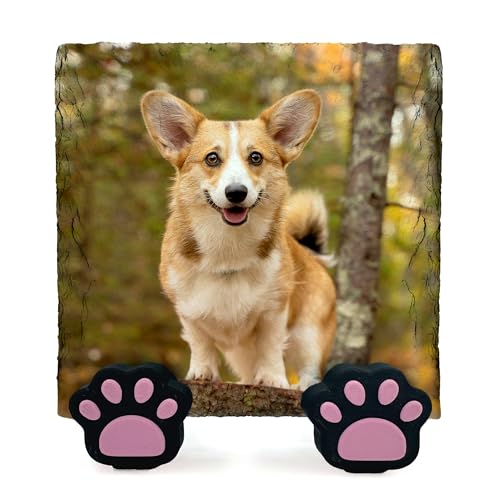 TULLUN Personalisierte Gedenktafel für Haustier Katze Hund Schiefer Naturstein Rahmen Pfote Grab Marker mit Pfote Display Steht - Full Print - Größe | 4 "x 4" oder 10 x 10 cm | von TULLUN