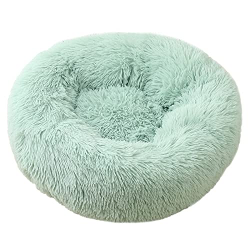 Hunde Bett Katzenbett Hundebett Flauschig Katzenhütte Winterwarmes Hundebett Haustierbett Kleine Und Mittelgroße Hundematte Katzenbett Tiefschlaf Haustiernestmatte Fruchtgrün Außendurchmesser 120cm von TUPMITUPO