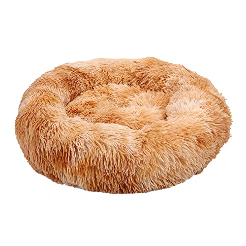 TUPMITUPO Hunde Bett Katzenbett Winterwarme Hundehütte Plüschtierhütte Vier Jahreszeiten Erhältlich Teddy Hundehütte Matratze Katzenhütte Haustierprodukte, Farbe Orange, 120 Breite * 20 Höhe cm von TUPMITUPO