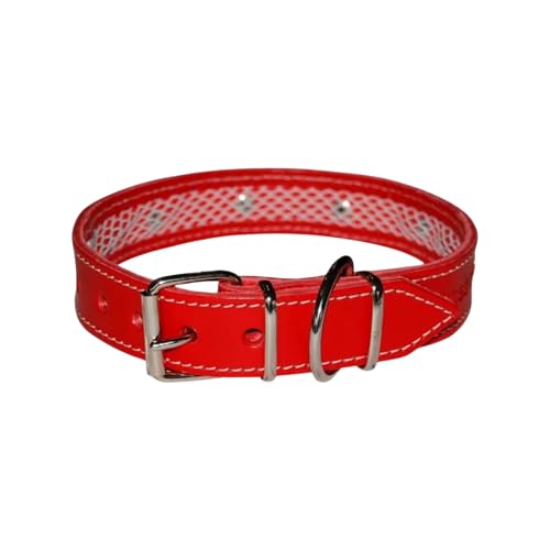 TUYNEC - Hundehalsband Leder mit Schutznetz für Flohhalsband Hunde, Hundehalsband das schützt und die Lebensdauer des Zeckenhalsbands für Hunde verlänger von TUYNEC