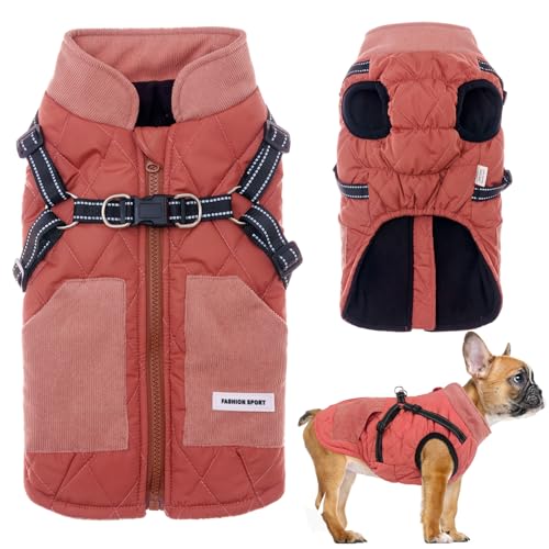 2 in 1 Hundejacke mit Geschirr für kleine, mittelgroße Hunde, Outdoor Hundesportweste Geschirr, warmer Wintermantel für Haustiere, kuschelig und winddicht für tägliche Spaziergänge, Training Abenteuer von TVMALL