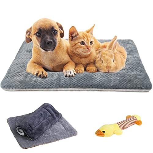 Hunde Katzen Schlafmatte superweich doppelseitige Fleecedecken Hundekissen Betten Waschbar Haustier Nest Pads Zwinger geeignet für kleine mittelgroße Hunde und Katzen Hase schützen Böden, Sofas, Auto von TVMALL