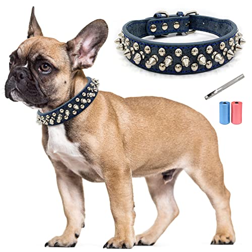 TVMALL Leder Hundehalsband Bissfest mit Spiked Nieten Hundehalsband Verstellbar Individualität Boxer Bulldogge Halsband für Kleine, Mittelgroße Hunde - Kostenlose Lederlocher und Müllbeutel (Blau, S) von TVMALL