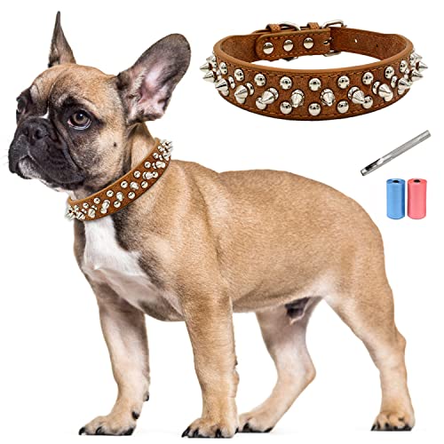 TVMALL Leder Hundehalsband Bissfest mit Spiked Nieten Hundehalsband Verstellbar Individualität Boxer Bulldogge Halsband für Kleine, Mittelgroße Hunde - Kostenlose Lederlocher und Müllbeutel (Braun, S) von TVMALL