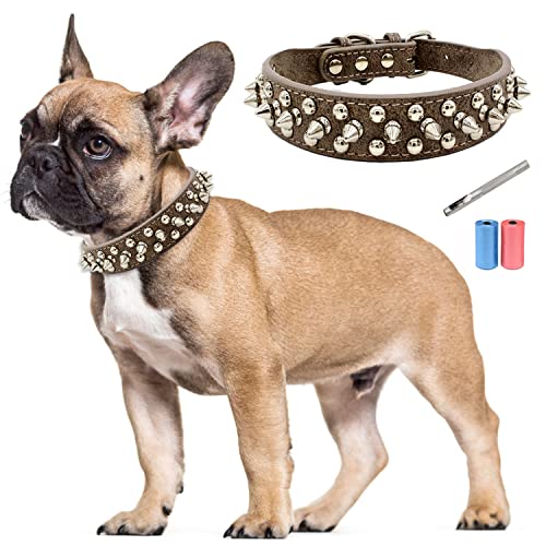 TVMALL Leder Hundehalsband Bissfest mit Spiked Nieten Hundehalsband Verstellbar Individualität Boxer Bulldogge Halsband für Kleine, Mittelgroße Hunde - Kostenlose Lederlocher und Müllbeutel (Grau, S) von TVMALL