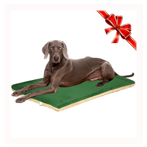 TVMALL Hundebett Matte Groß Waschbar, Reversible Plüsch Haustier Katze Betten Kissen Matratze, Weiche Warme Hund Matte Pad für Mittlere Große Hunde - 110X70CM, Grün von TVMALL