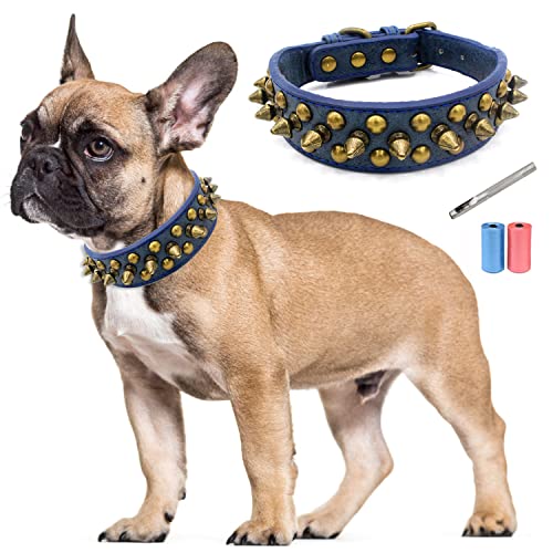 TVMALL Leder Hundehalsband Bissfest mit Pilze Nieten Verstellbar Trainingshalsband für Kleine, Mittelgroße Hunde, Haustiere Outdoor-Halsbänder - Kostenlose Lederlocher und Müllbeutel (Blau, M) von TVMALL