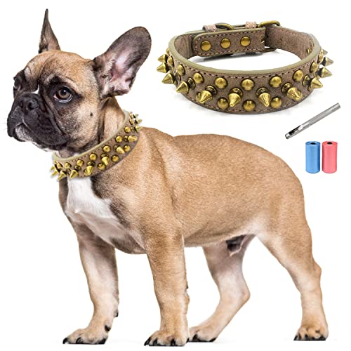 TVMALL Leder Hundehalsband Bissfest mit Pilze Nieten Verstellbar Trainingshalsband für Kleine, Mittelgroße Hunde, Haustiere Outdoor-Halsbänder - Kostenlose Lederlocher und Müllbeutel (Grau, XL) von TVMALL