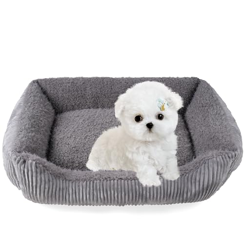 TWDEPART Hundesofa, Kuschelbett für Welpen, Hund & Katze(Hellgrau, S) von TWDEPART