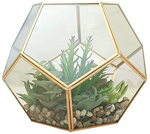 TXXM Cratone Glas Blumentopf Gold Geometrisches Terrarium Klarglas Pflanzenschüssel Für Farn-Moss-Kaktus 16 X 16 cm von TXXM