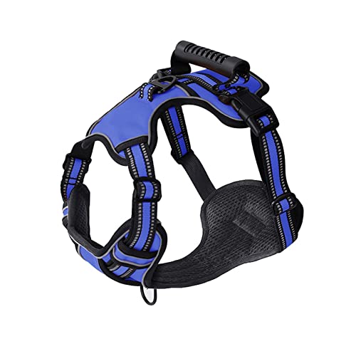 Hundegeschirr Hundegeschirr No Pull Atmungsaktive Reflektierende Haustiergeschirrweste for Kleine Große Hunde Outdoor Walking Training Hundezubehör Leine (Color : Blue, Size : XS) von TYNXK