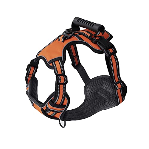 Hundegeschirr Hundegeschirr No Pull Atmungsaktive Reflektierende Haustiergeschirrweste for Kleine Große Hunde Outdoor Walking Training Hundezubehör Leine (Color : Orange, Size : S) von TYNXK