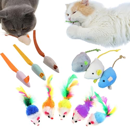 TYXHXTF 11 Stück Katzenspielzeug,Katze Spielmaus,PlüSch,Katzenspielzeug Maus,Katzenminze Maus FüR Katzen Kitty,Katzenspielzeug FüR Alle Katenrassen,Katzen Spielzeug Kitten(11 Stück Mix) von TYXHXTF