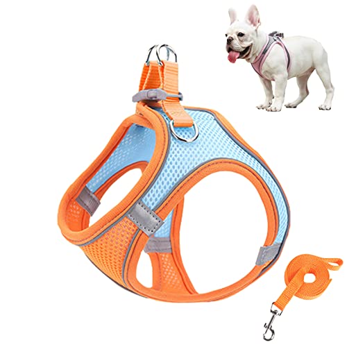 No Pull Hundegeschirr Kleine Hunde, Mesh Atmungsaktiv Reflektierend Welpen Katze Hund Verstellbare Weste Geschirr für Kleintiere Kaninchen Maus Katzen Orange L von TZONOT