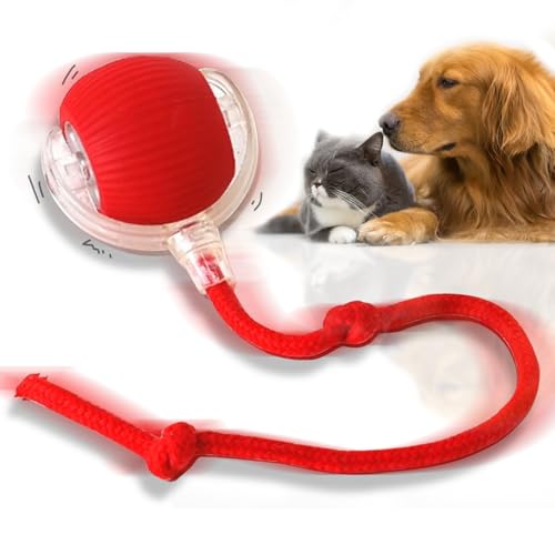 TZQFROCE Interaktiver Katzenspielzeug Ball Elektrisch Katzenball Rollball mit Schwanz für Katzen und Hunde - 3 Arbeitsmodi - 360° Rolling Smart Ball für Katzen und Hunde von TZQFROCE