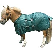 Tack Shack of Ocala Intrepid Mini Weidedecke Weidedecke Weidedecke 190g Füllung 420 Denier Mini Weidedecke mit Bauchband (Hunter Green, 38) von Tack Shack of Ocala