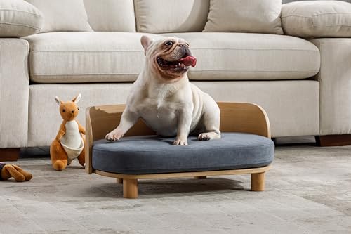 Hundebett für kleine Hunde, einzigartiges Design – Samt-Haustierbett mit Rückprallschaum, abnehmbarer, waschbarer Bezug, kratzfest, wasserdicht, schmutzabweisend, bis zu 100 kg von Tacotimo